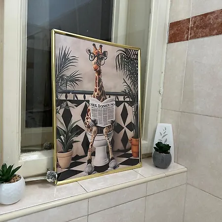 Eight 베오그라드